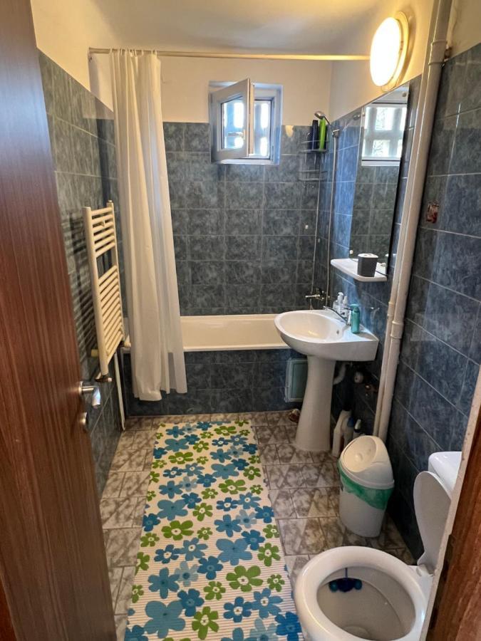 Apartment 2 Camere Centru Piata 700 Timişoara Eksteriør bilde